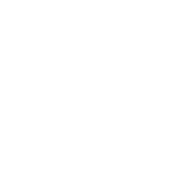 Customer Reviews